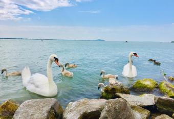Apollo Inn has Balcony rooms