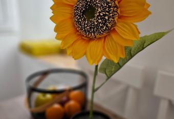 Casa iulia has Balcony rooms