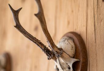 bergfried - Designwohnung mit Weitblick has Balcony rooms