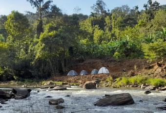 Nature river camp allows 18 year olds to book a room