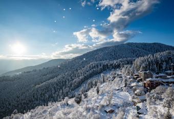 Back Wood Stays Cheog has Smoking/Balcony rooms