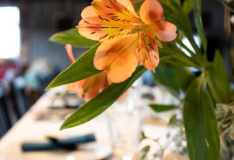 Uroczysko Ole  nica allows 18 year olds to book a room