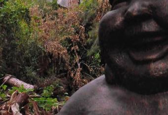 Dans ma bulle by C Cibeaulaos allows 18 year olds to book a room