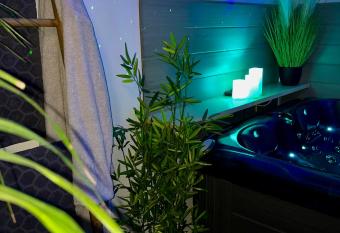 Boh  me Spa Appartement privatif avec jacuzzi allows 18 year olds to book a room