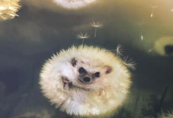 F  lix Le Renfrogn   Aubagne-Cassis-Aix en Provence allows 18 year olds to book a room