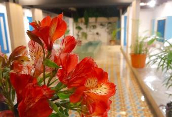 Hotel Pepen has Balcony rooms