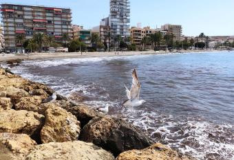 Bright apartment en Santa Pola has Balcony rooms