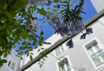 Hotel San Miguel Menorca allows 18 year olds to book a room