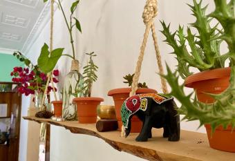 Serenity House Arusha has Balcony rooms