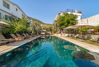 Massi Near the Sea has Balcony rooms