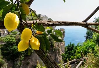 Hotel La Pergola has Balcony rooms
