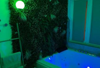 L extasia appartement,spa jacuzzi Grenoble allows 18 year olds to book a room