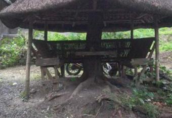 The Resthouse allows 18 year olds to book a room