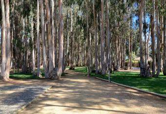 Depto en Costa Algarrobo Norte con wifi has Balcony rooms
