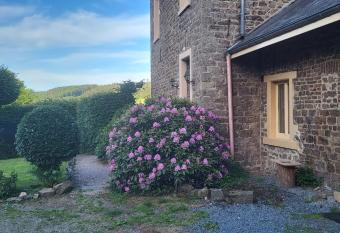 Die alte Schule H  uschen has Balcony rooms