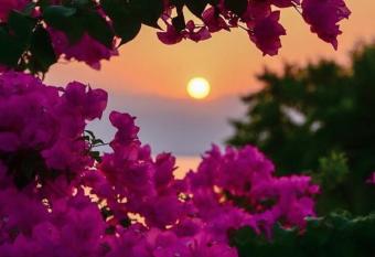 Sunlight town has Smoking/Balcony rooms