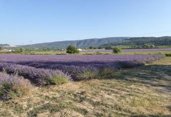 CABANE perch  e dans les arbres et terrasse ensoleill  e has Balcony rooms
