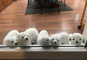 Le Clos d Aur  . allows 18 year olds to book a room