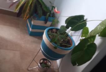 EDIFICIO KOTOKO BARRIO CALDAS allows 18 year olds to book a room