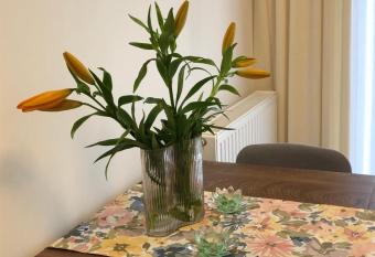 Apartament Zielony Zak  tek has Balcony rooms