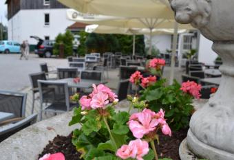 Hotel am Pfahl has Balcony rooms