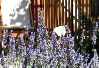 Les Pierres Sauvages has Balcony rooms