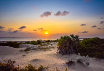 Kizingo Beach Eco Lodge has Smoking/Balcony rooms