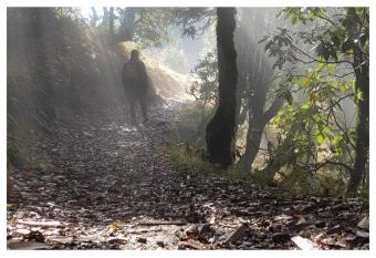 Kanatal Kuteer has Balcony rooms