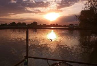 DELTA DUN  RII -Casa IULIA -Partizani has Balcony rooms