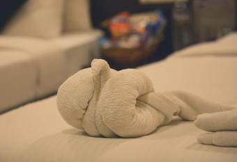 Hotel Blue Mystic allows 18 year olds to book a room