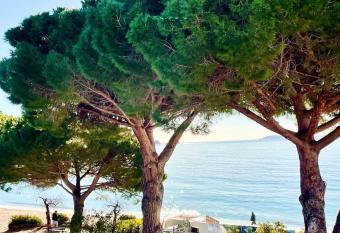 Appartement les pieds dans l eau    Cavali  re (Lavandou 83) allows 18 year olds to book a room