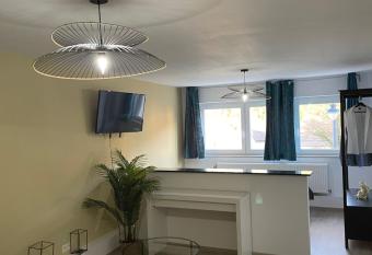 Grand studio    5 minutes du centre allows 18 year olds to book a room