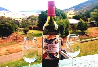 Omeo Views allows 18 year olds to book a room