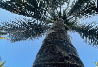 The Gunjal s Home Stay has Balcony rooms