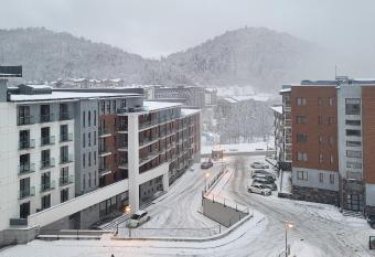 Orbi Palace Bakuriani Makos Apartment N 738 has Balcony rooms