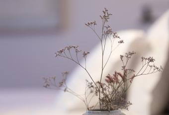 Casa do Gadanha allows 18 year olds to book a room