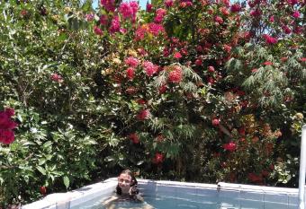 Maison du Bonheur costaricienne sur la plage Paradis caballo del mar has Balcony rooms