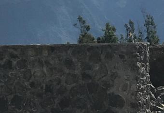 Les villas volcaniques has rooms with a private hot tub