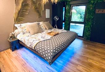 LE JUNGLE appartement en plein c  ur de NIMES allows 18 year olds to book a room