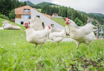 KOASA-HOF, SUPERIOR CHALET, 5 Zim, 18 Pers, 240 m2 APPARTEMENT has Balcony rooms