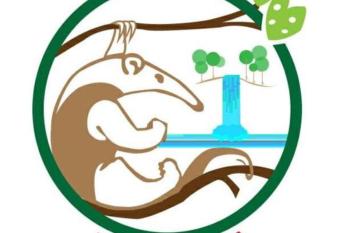 Complejo Ecoturistico Tamandua has Balcony rooms