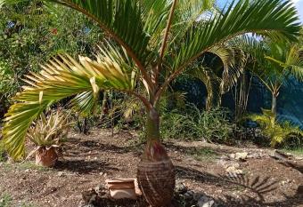 2 L Oranger, r  sidence de d  part de vos escapades has Balcony rooms