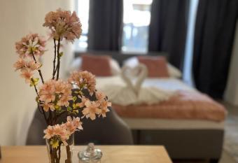 Central Cosy Apartment in Cologne has Balcony rooms