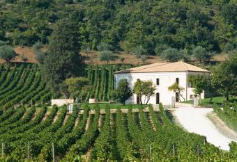 San Calisto camere con vigna has Balcony rooms