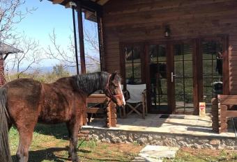 Olympus Horse Riding Club Wooden Horse House Nafar has Balcony rooms