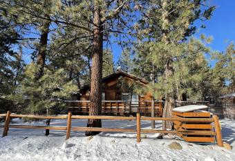Irie's Retreat has Balcony rooms