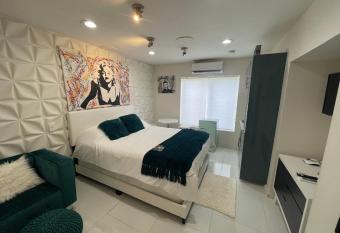 Luxury Studio Apartment IN Downtown! 24 allows 18 year olds to book a room