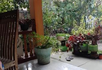 PURPLE FLOWER has Smoking/Balcony rooms