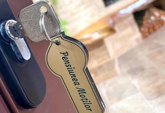 Pensiunea Mo  ilor has Balcony rooms