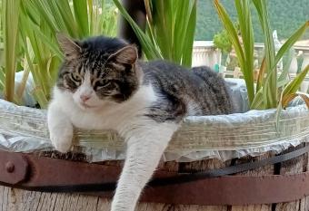 La Corte Alta allows 18 year olds to book a room